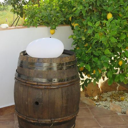 B&B Finca La Manchica Cartagena Exterior foto