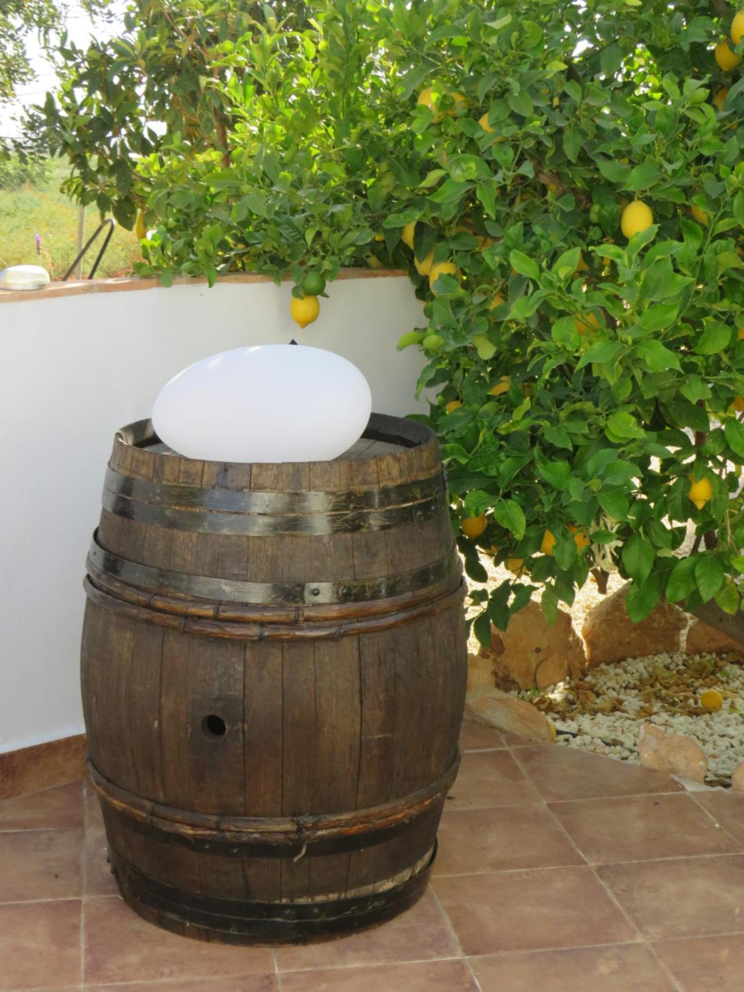 B&B Finca La Manchica Cartagena Exterior foto